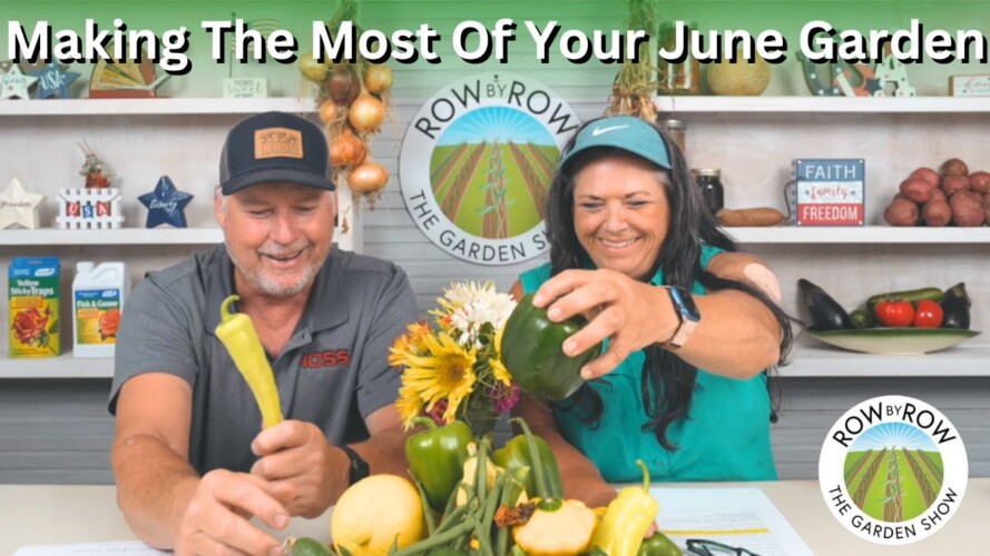 What Should You Be Doing Now? | Gardening In June