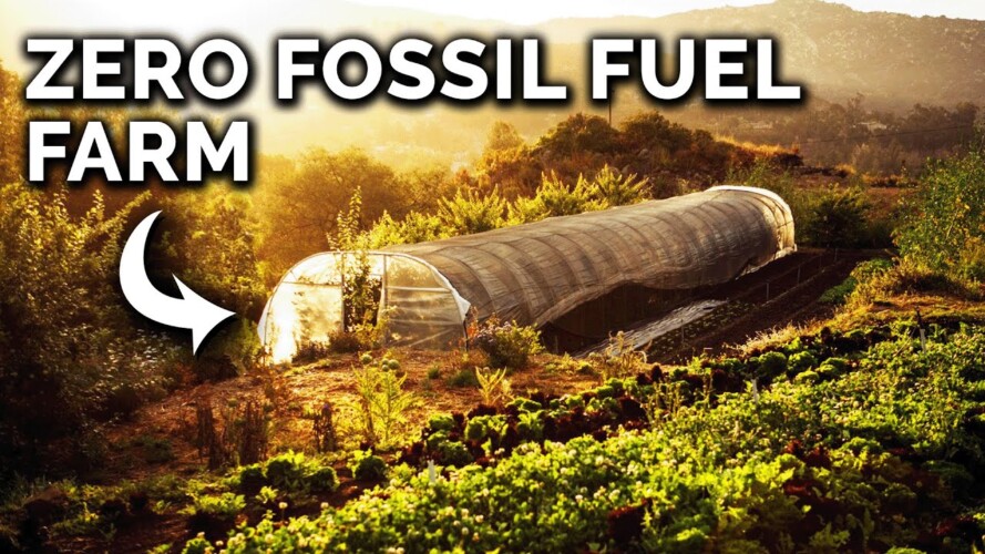He Uses NO Fossil Fuels To Work His 1/2 Acre Market Farm