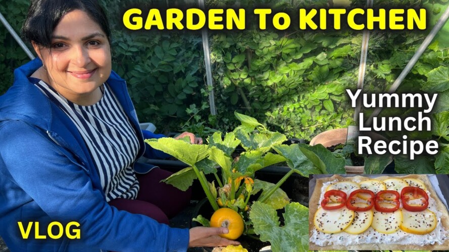 இந்த ஆண்டின் முதல் அறுவடை / GARDEN TO KITCHEN - Ep1 /  Vegetable Gardening ideas #gardeninlondon