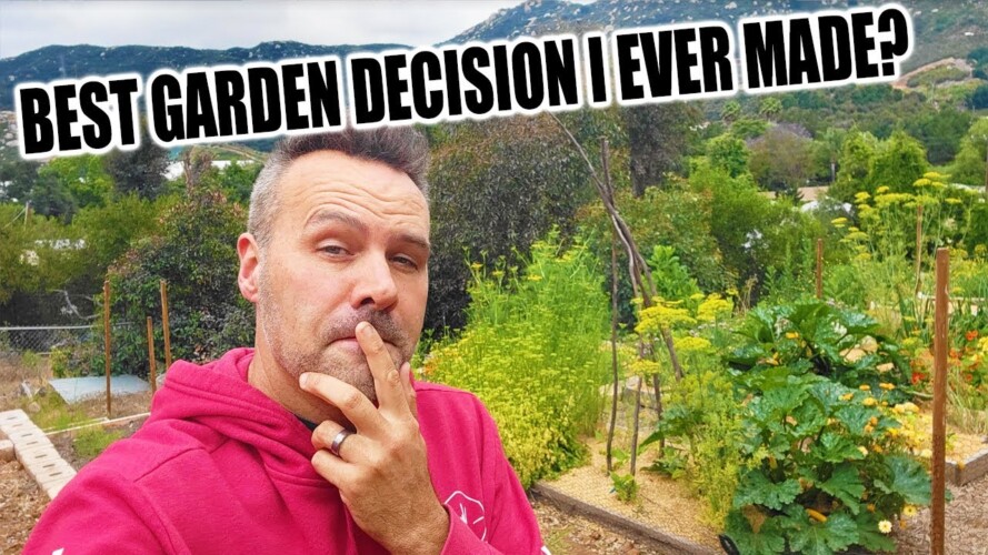 My Secret to Organic Gardening Success