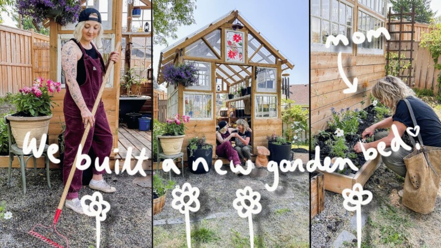 greenhouse gardening + new diy garden bed 🌱| GREENHOUSE DIARIES