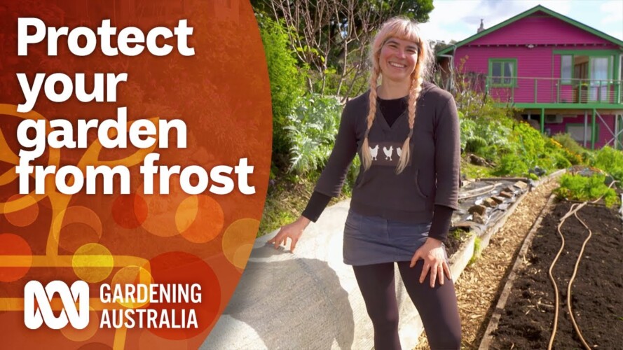How to protect your garden from frost and cold weather | Gardening 101 | Gardening Australia