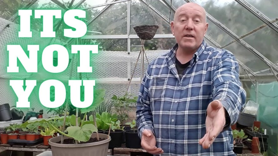 Its Not You [Gardening Allotment UK] [Grow Vegetables At Home ]