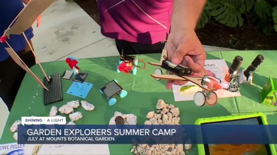 Summer gardening camp filled with healthy grown snacks