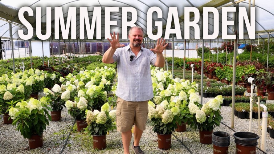 Top 10 Summer Gardening Tips - July Garden Checklist