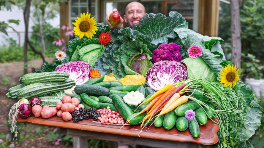 Massive Backyard Gardening Harvest, The Best Food Money Can't Buy!