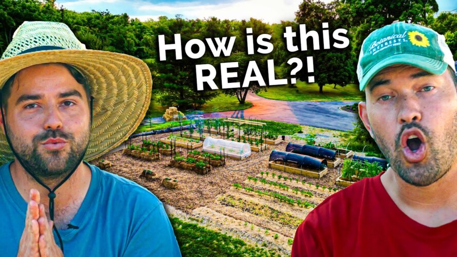 Professional Gardeners React to Subscriber Gardens!