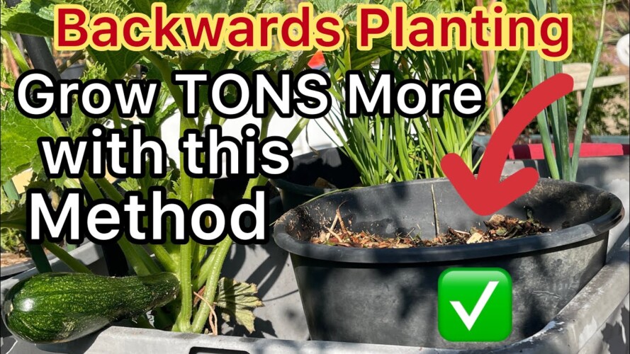 Grow Tons More Vegetables “Backwards” Raised Bed Garden & Container Gardening *Great for Hot Weather