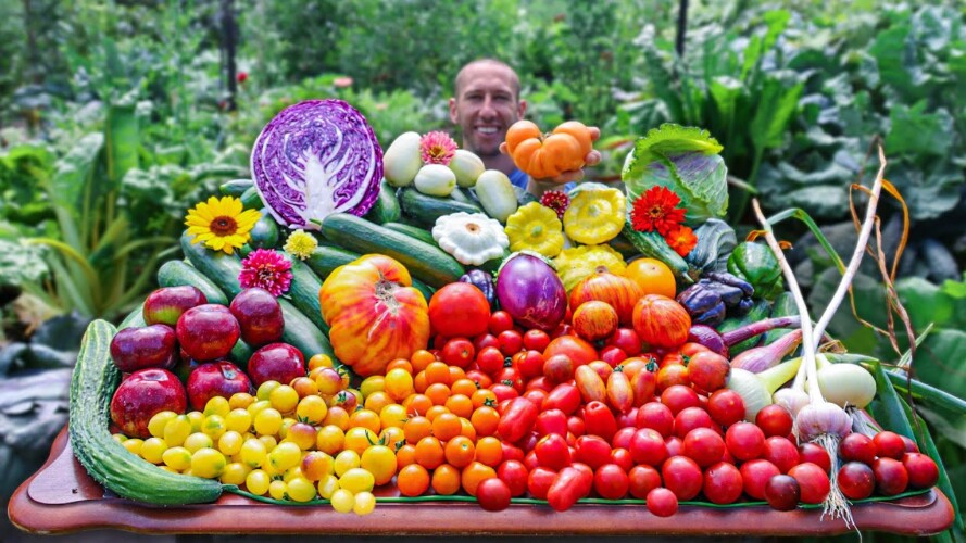 Breathtaking Backyard Gardening Harvest, You Have to See it to Believe it!