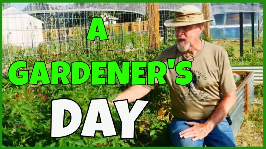 My Daily Gardening Routine (Common Tasks)