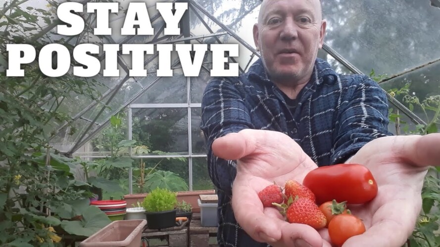 Stay Positive Keep Trying [Gardening Allotment UK] [Grow Vegetables At Home ]