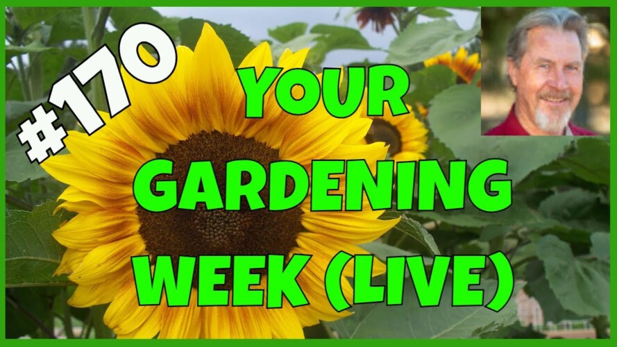 Gardening Around the World (Q&A)