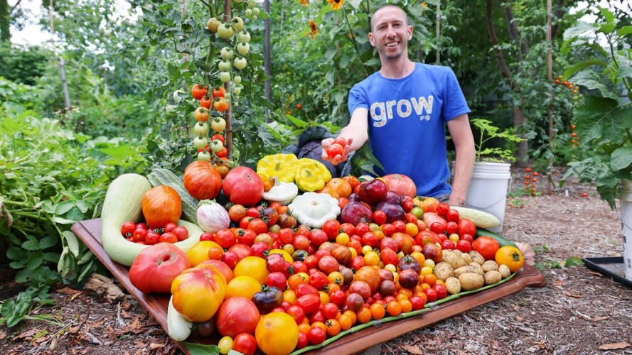 Massive Summer Garden Harvest 2023, Backyard Organic Gardening at it's Best!