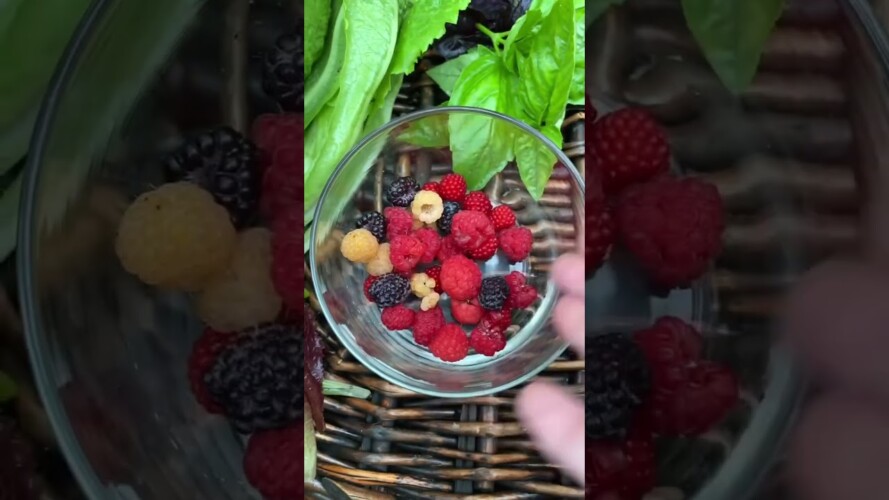 Harvest basket #harvestbasket #harvest #gardening #growfood #harvesttime #harvesting