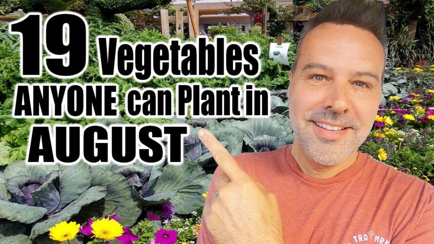 What Vegetables Can I Still Plant in August? IN ANY CLIMATE