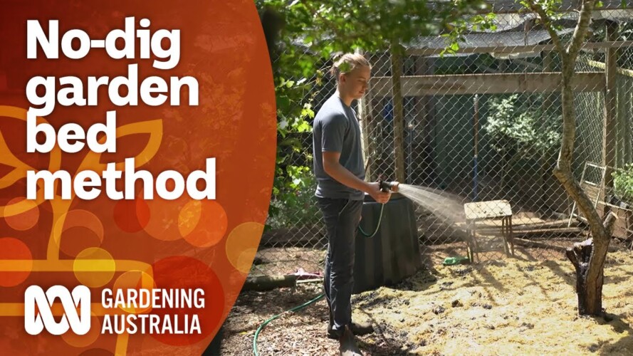 Use this no-dig method to create a productive garden bed | Gardening 101 | Gardening Australia