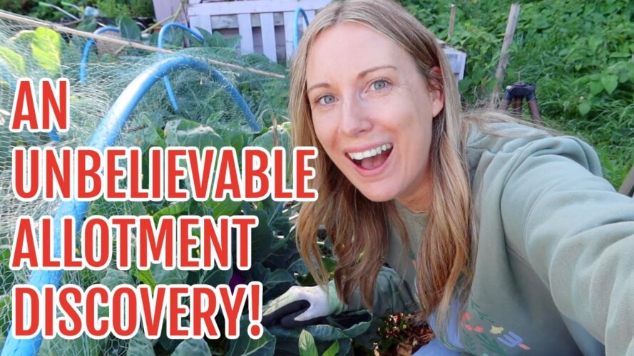 UNBELIEVABLE ALLOTMENT DISCOVERY! / ALLOTMENT GARDENING FOR BEGINNERS