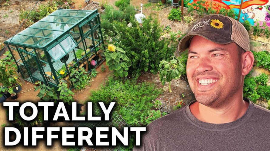 INCREDIBLE Garden Transformation in Just 1 Year (Full Tour)
