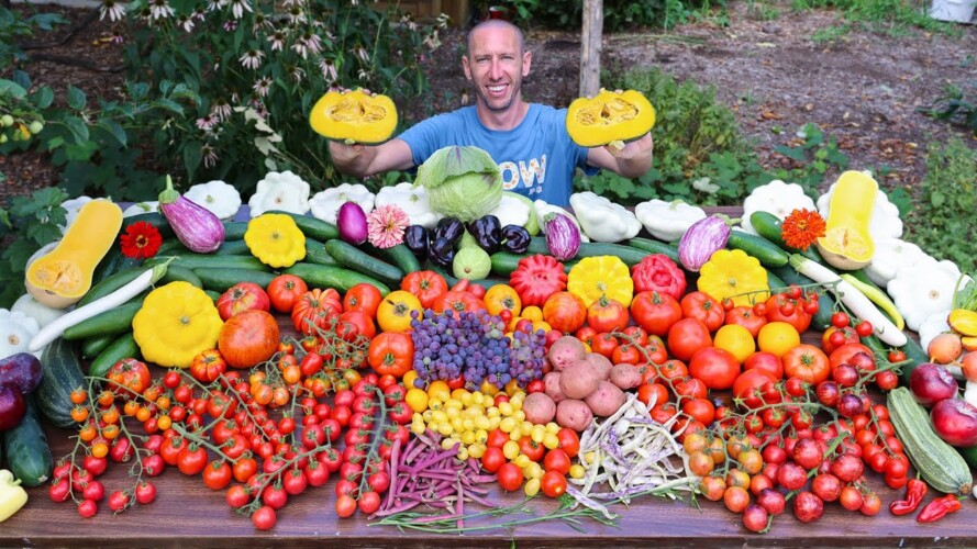 Amazing Garden Harvest on Only 1/9th an Acre, Backyard Sustainable Gardening