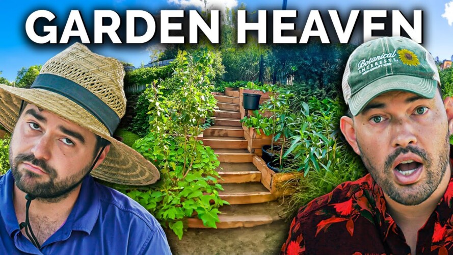Gardeners React To Home Gardens Around The World!