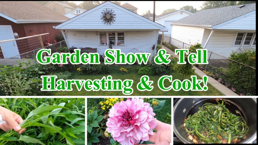 Garden Show and Tell  Harvesting and Cook  The joy of gardening #gardening