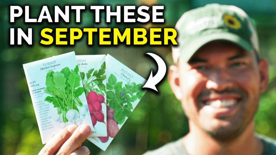 12 Veggies You Can Start In September RIGHT NOW!!