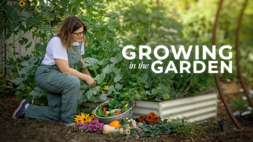 Gardening Educator Reveals Her Favorite Tips | PARAGRAPHIC