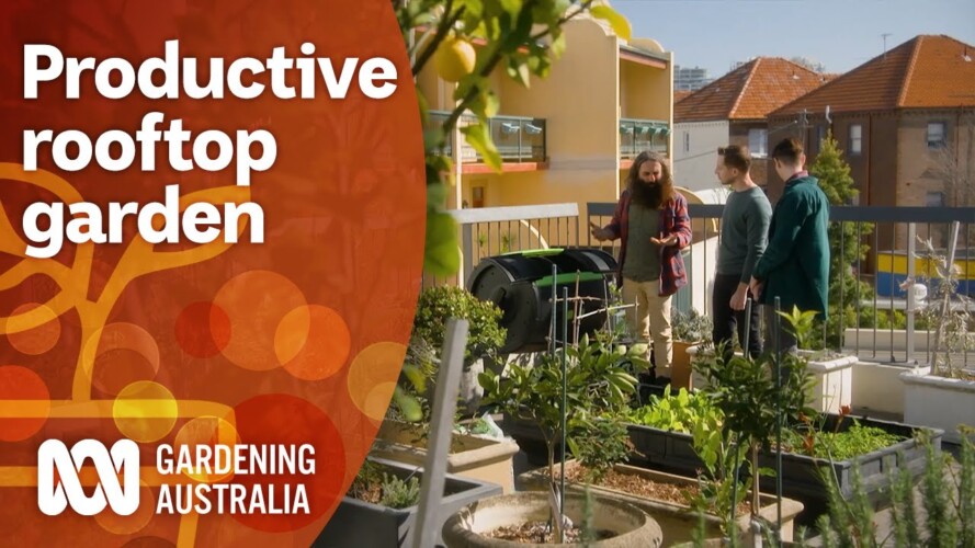 Turning a rooftop into a productive garden | Garden Design and Inspiration | Gardening Australia