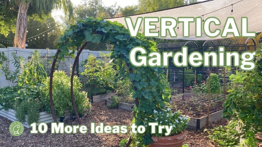 10 More Vertical Gardening Ideas: Growing in the Garden