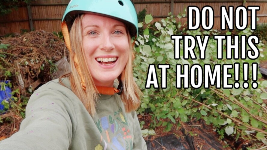 DON'T TRY THIS AT HOME!! / ALLOTMENT GARDENING FOR BEGINNERS