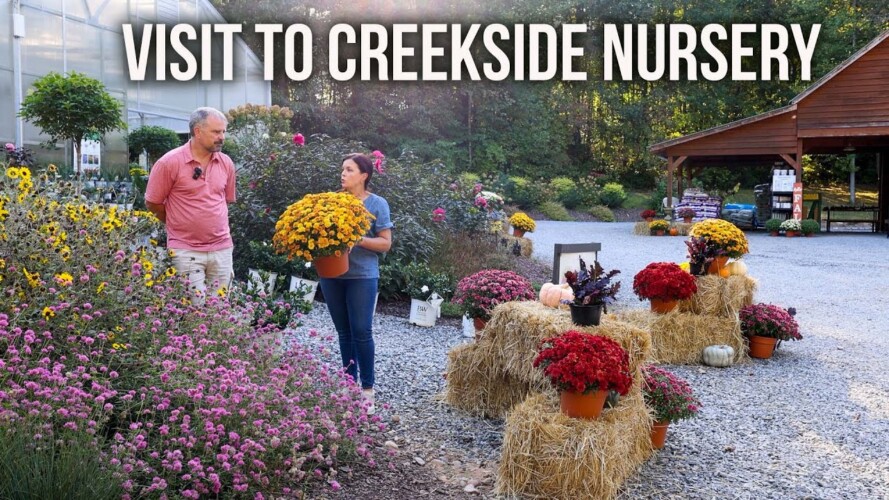 Gardening with Creekside Visit