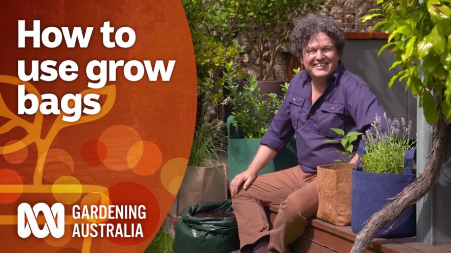 How to grow more plants and maximise space using grow bags | Gardening 101 | Gardening Australia