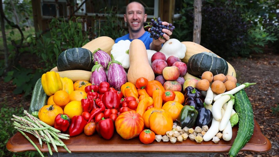 Big October Garden Harvest! Local Food at its Best! 🍅🌶️🥒