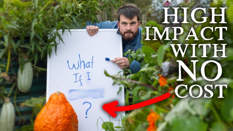How Would You Use This FREE Powerful Gardening Tool?