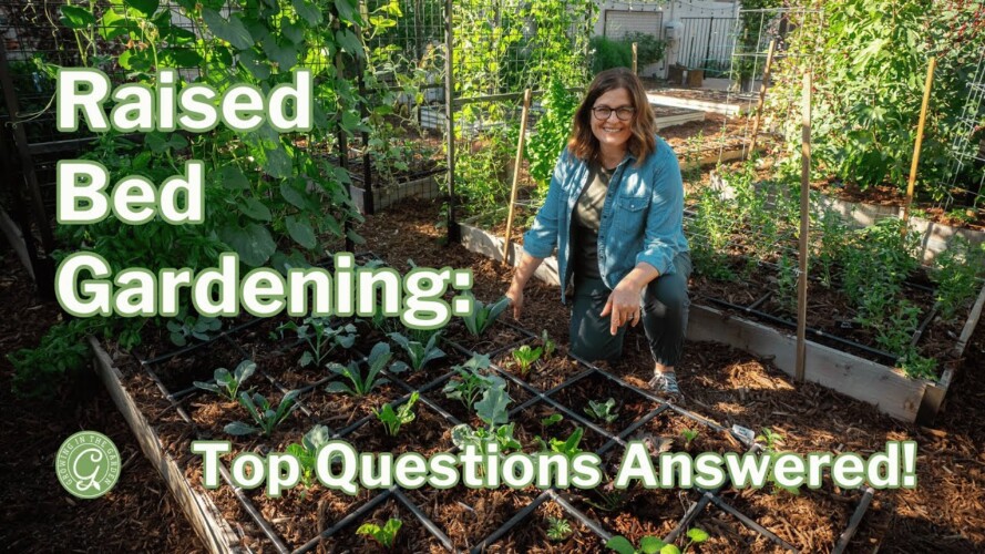 Raised Bed Gardening: Top Questions Answered!