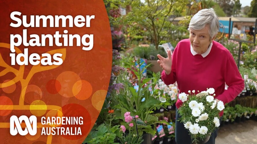 Summer planting ideas to extend your garden's colour | Garden Inspiration | Gardening Australia