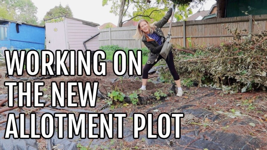 WORKING ON THE NEW ALLOTMENT PLOT / ALLOTMENT GARDENING FOR BEGINNERS
