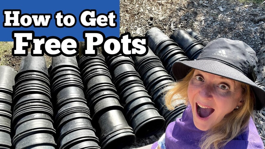 Container Gardening, How to Get Free Pots for Growing a Portable Vegetable Garden in Flower Pots