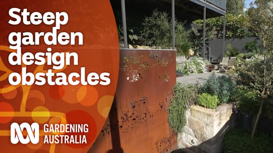 How creative solutions allowed this steep garden to function | Garden Design | Gardening Australia