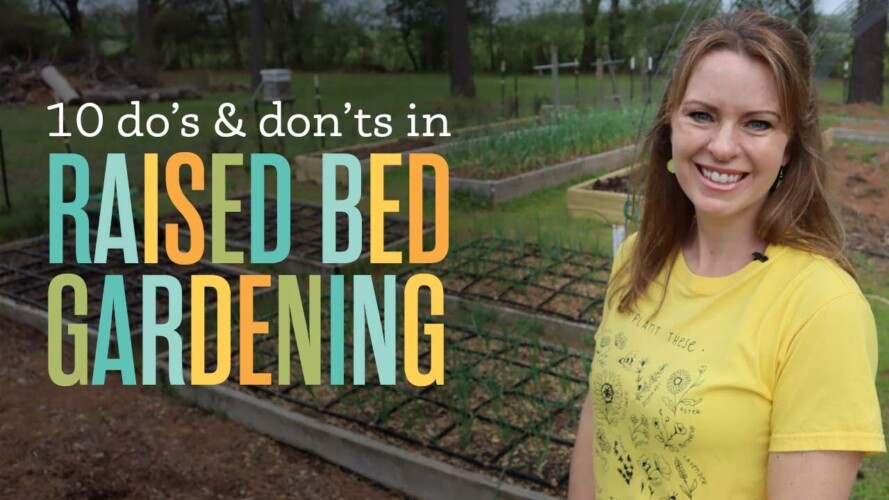 Beginner Gardening Raised Bed Do's & Don'ts