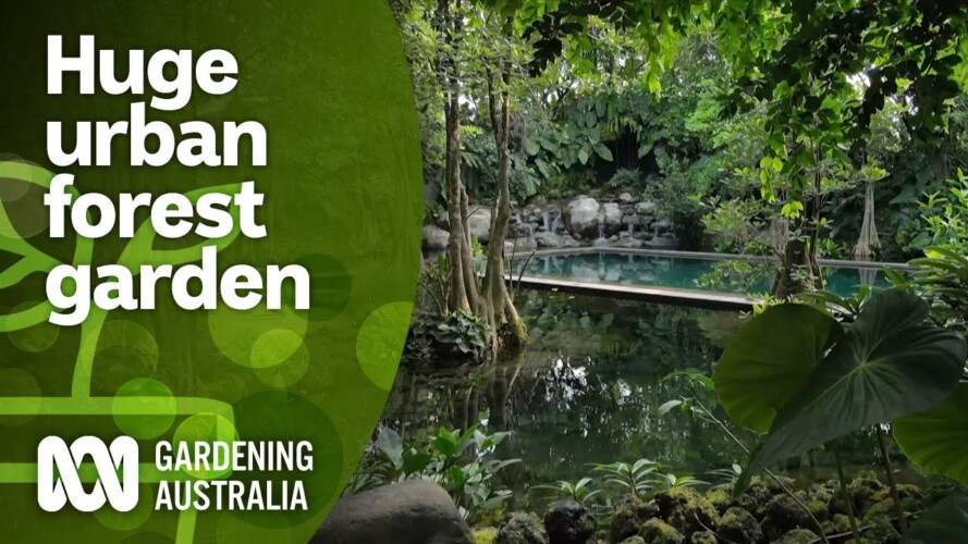 A dream forestscape garden with pool, waterfall & wildlife | Indonesia Special | Gardening Australia