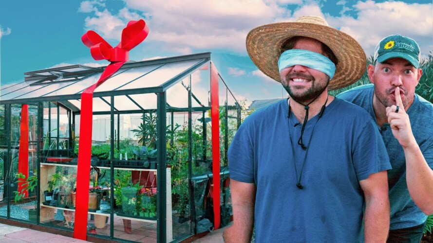 Surprising My Friend With His DREAM Greenhouse!