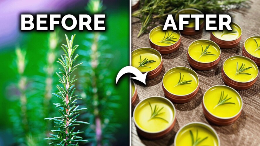 3 Ways to Use Your Homegrown Rosemary