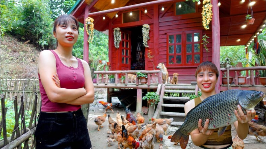 Rebuilding Cabin After 3 Months of Illness - Gardening - naturally raise FISH | Ana Bushcraft