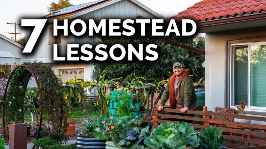 3 Years Of Homesteading: What I've Learned