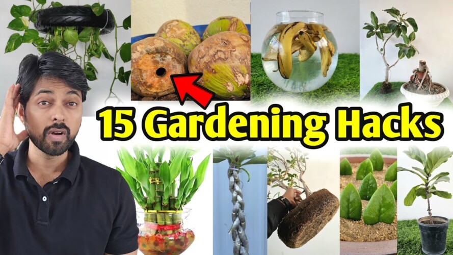 My 15 Gardening Hacks you must know, DIY Home Garden ideas