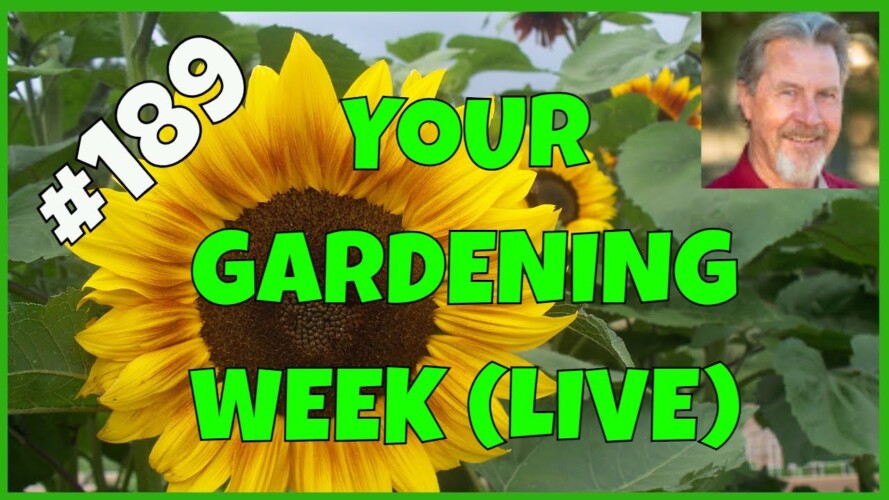 Hard Lessons in Gardening (Q&A)