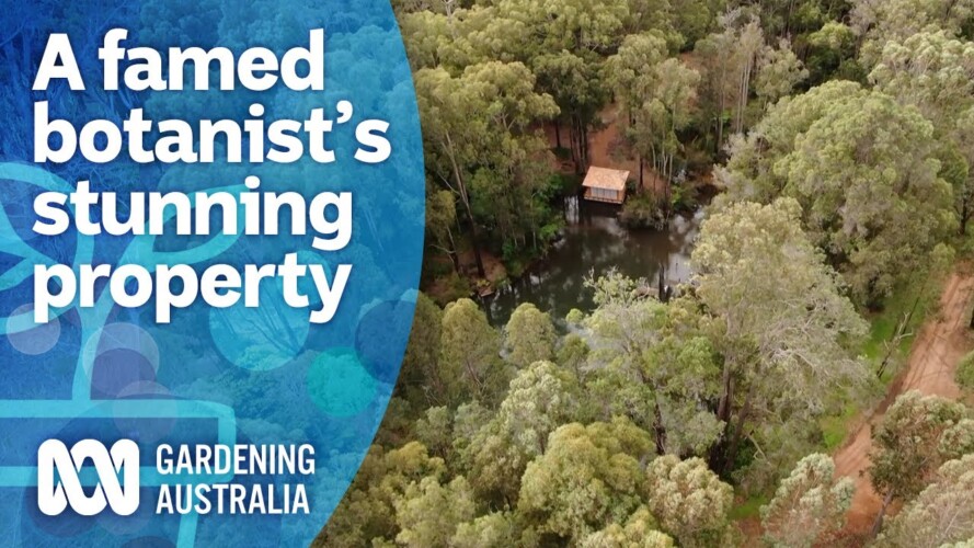 Touring renowned botanist Kingsley Dixon's stunning property | My Garden Path | Gardening Australia