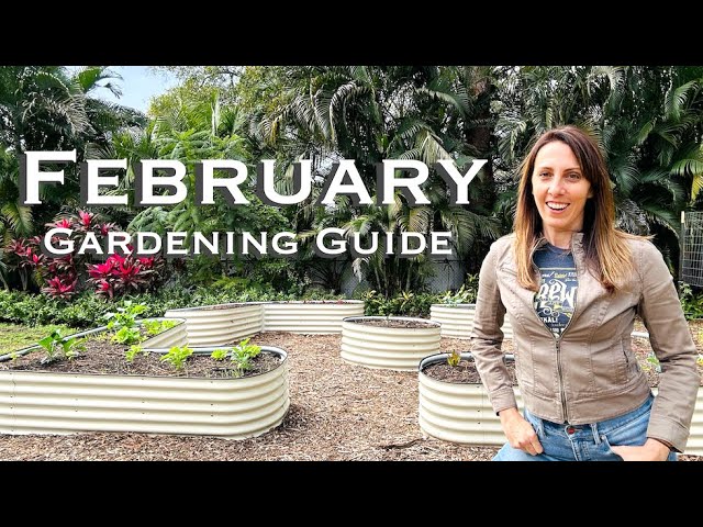 February Garden Guide: The Ultimate Guide to Florida Gardening
