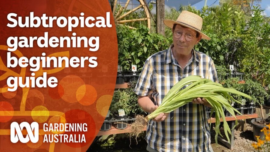 Moved up north? How to start sub-tropical gardening | Gardening 101 | Gardening Australia
